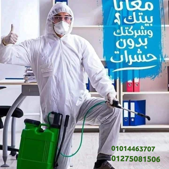 344093970_654405529834361_6733890671488949283_n